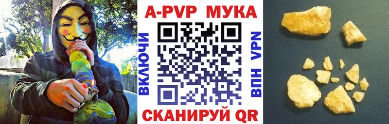 дарнет шоп  OMG tor  Alpha PVP СК  Нязепетровск 