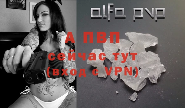 сатива Арсеньев
