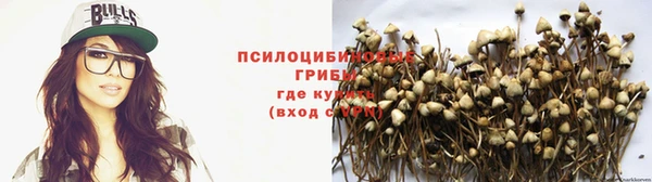 скорость Аркадак
