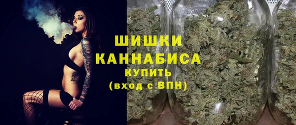 сатива Арсеньев